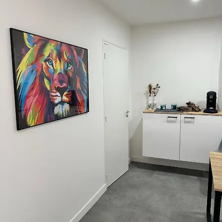 Apartmán Cosy Et Moderne - 2